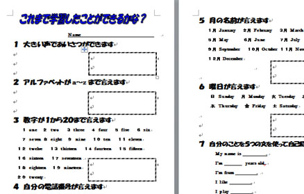 図１　できるかな？　テスト