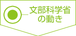 文部科学省の動き